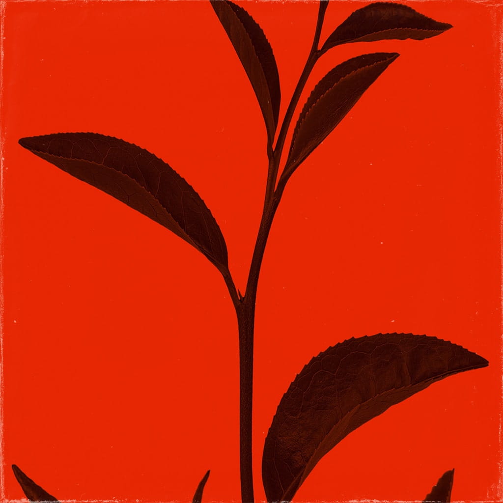 vrs-inferno.jpg Inferno — изображение 1